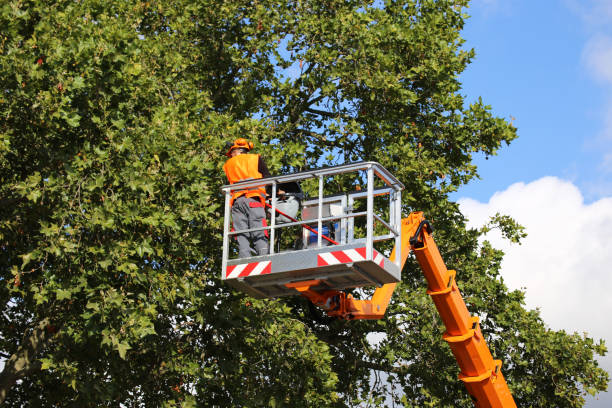 Mulching Services in Monona, IA